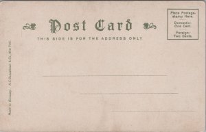 Washington Tree Cambridge Massachusetts Vintage Postcard C105