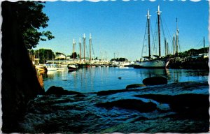 USA Camden Harbor Maine Chrome Postcard C005