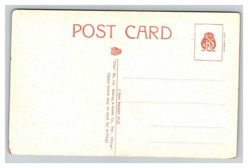 Vintage Early 1900's Divided Back Postcard Memorial Hall Waterloo Iowa UNPOSTED