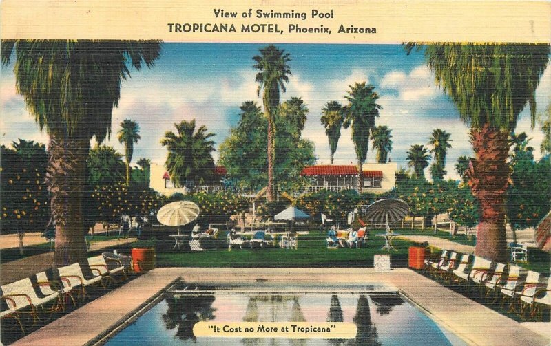 Postcard Arizona Phoenix Tropicana Motel View Swimming Pool occupation 23-10662
