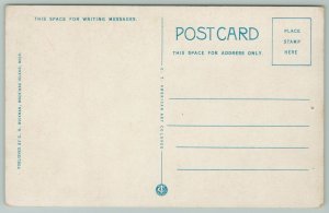 Mackinac Island Michigan~Lovers Leap~1920s Postcard