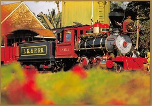 Sugarcane Train , Maui  