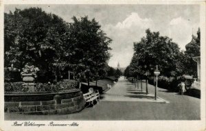 CPA AK Bad Wildungen Brunnen-Allee GERMANY (899545)