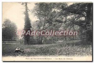 Postcard Old Park De Verrieres Le Buisson Bois De Chenes