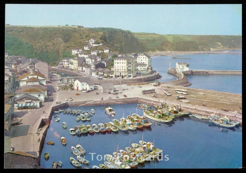 Luarca (Asturias) - Vista partial del Puerto