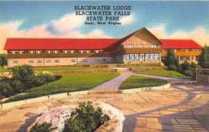 J20/ Davis West Virginia Postcard Linen Blackwater Falls State Park Lodge 96