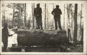 Lumberjacks Men Logging c1910 Real Photo Postcard #4 dcn