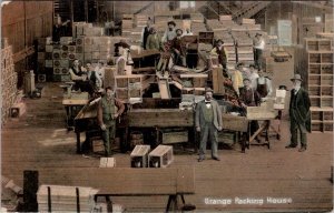 Pasadena California Orange Packing House with Workers Mgrs 1907 Postcard Y5