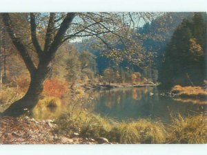 Pre-1980 RIVER Feather River Canyon - Oroville & Paradise & Chico CA AE5978