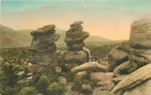 Albertype Colorado Springs Colorado Siamese Twins Garden 1920s Postcard 8698