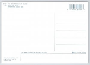 State View~Mesa Verde National Park CO~Spruce Tree House~Continental Postcard