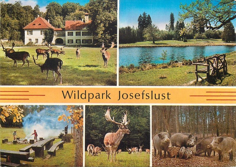 Germany multi view wildpark josefslust animals lake deer Postcard