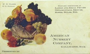 1890's American Nursery Co. W. B. Clarke C. C. Cutting Large & Small Fruits P92