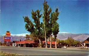 Postcard CA Lone Pine Frontier Motel The Home of Golden Trout Route 14 1970s J7