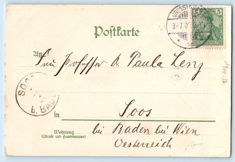 Thuringia Germany Postcard Kid Serving Thuringia Dumplings Greetings c1905