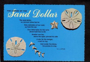 Legend of the Sand Dollar V L Little Poem Sea Shells Seashells Postcard
