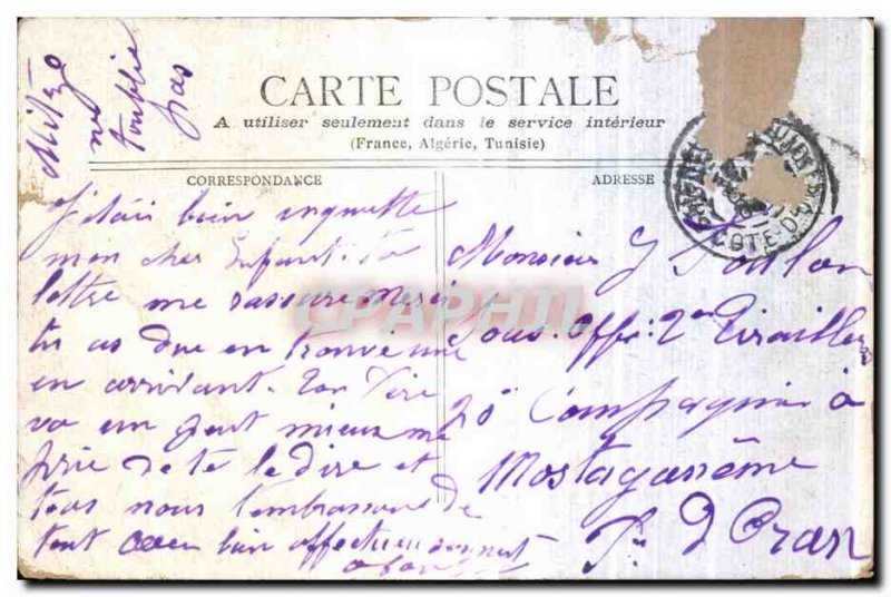 White Swans Clor - Europe - Swans - Old Postcard