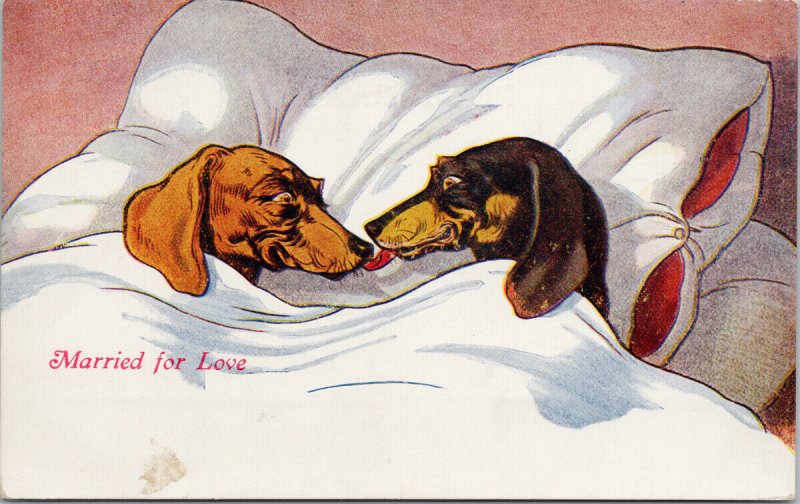 Two Dachshund Dogs in Bed 'Married for Love' Marriage Cute c1912 Postcard H15 