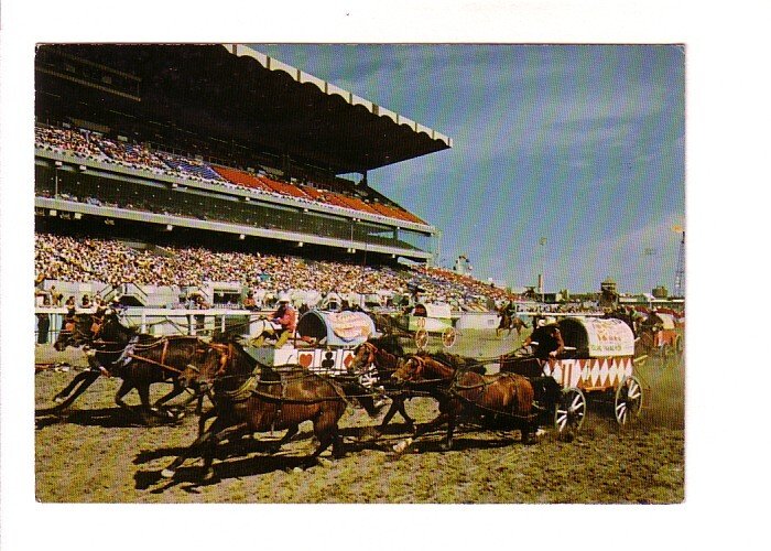 Chuckwagon Races, Calgary Exhibition and Stampede, Alberta,