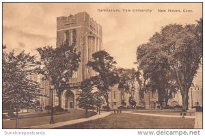 Connecticut New Haven Gymnasium Yale University Albertype