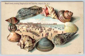 1907-10's STEEPLECHASE & STEEL PIERS ATLANTIC CITY NJ SEASHELL BORDER POSTCARD