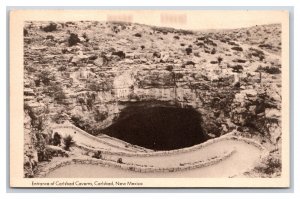 Entrance to Carlsbad Caverns Carlsbad New Mexico NM UNP WB Postcard N24