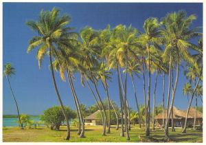 BR9044 Gite dans les alizes Ils des Pins   new caledonia