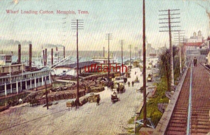 WHARF LOADING COTTON, MEMPHIS, TN. 1908