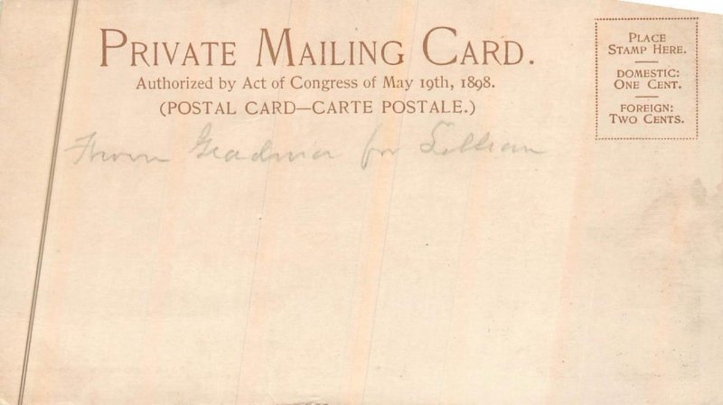 A CHINESE GREEN GROCER'S CHINA POSTCARD (c. 1900)