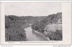 New York Rochester View Of The Gorge From Driving Park Avenue Bridge