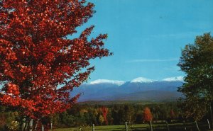 Vintage Postcard 1967 Presidential Range In Autumn White Mountain New Hampshire