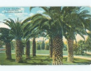 Divided-Back DATE PALM TREES AT LAFAYETTE PARK Los Angeles California CA c9372