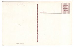 Autumn Color, Trees Beside Lake