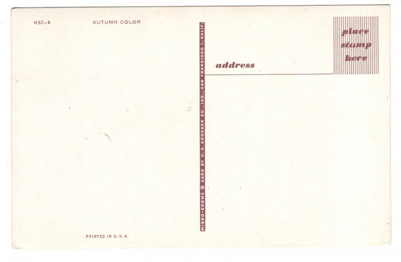 Autumn Color, Trees Beside Lake