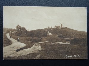 Surrey REIGATE HEATH showing Windmill - Old Postcard by Frith 61670