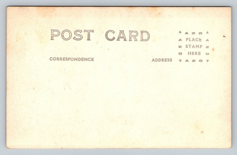 RPPC  1919  Panama Jungle   Postcard