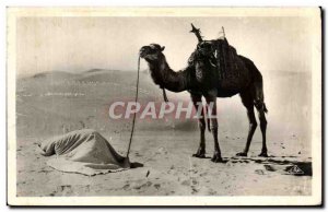 Old Postcard Scenes et Types The prayer of the desert Tunisia