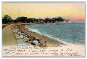 c1905's Breezy Point Seaside Park Sea Wall Bridgeport Connecticut CT Postcard