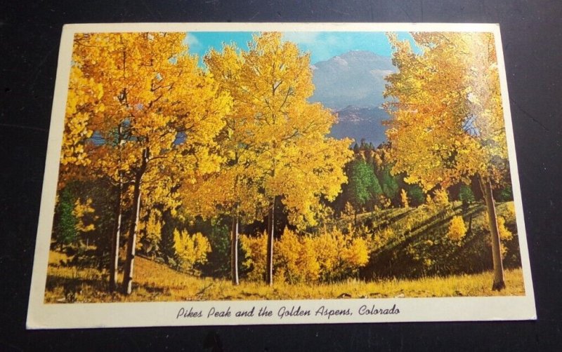 VINTAGE 1965 USED POSTCARD - PIKES PEAK & GOLDEN ASPENS, COLORADO