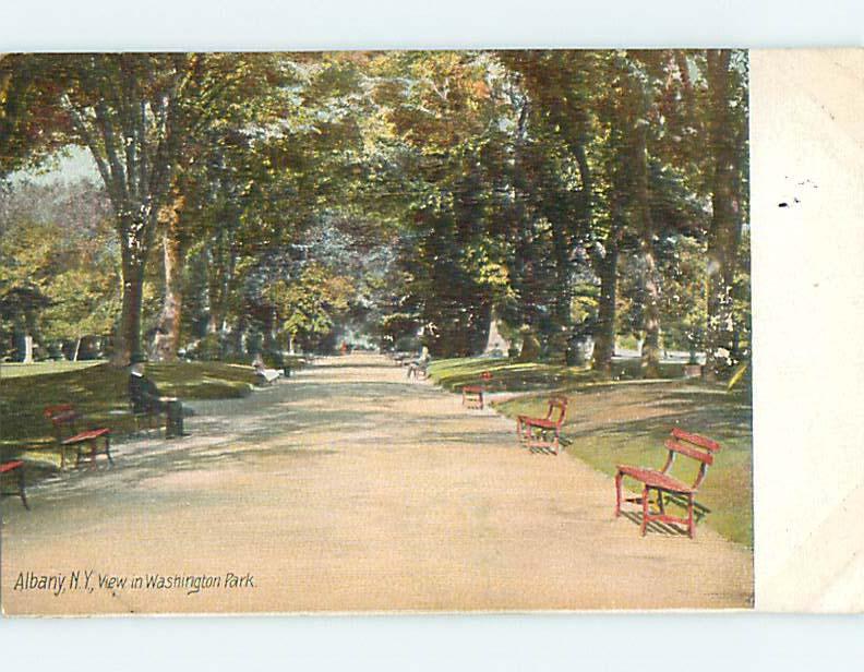 Divided-Back BENCHES & PARK SCENE Albany New York NY r8170