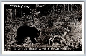 A Little Deer With A Bear Behind, Humor, Massey Ontario, 1940s Real Photo RPPC