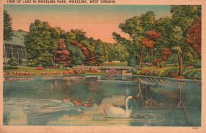 Vintage Postcard View of Lake in Wheeling Park Swan Lake Wheeling West Virginia