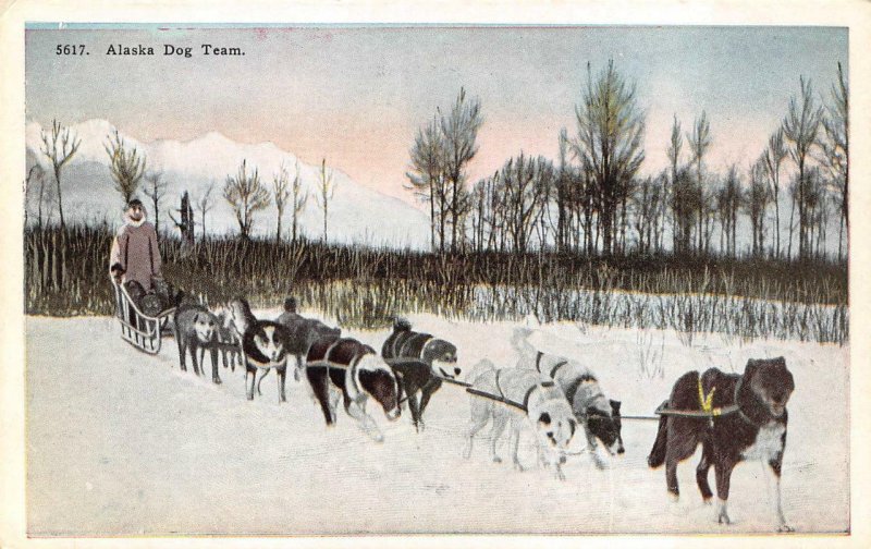 ALASKA DOG TEAM POSTCARD (c. 1920s)