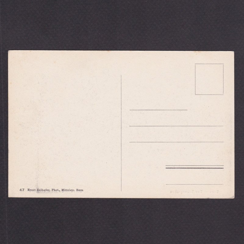 SWITZERLAND, Postcard, Bern, Bears, Unused