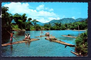 Rafting Party on the Rio Grande River,Jamaica BIN