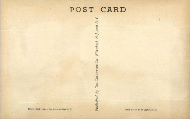 Mechanicville NY b&M RR Train Bridge - Postcard