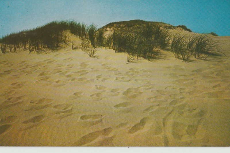 VINTAGE POSTCARD FOORPRINTS IN THE SAND ON OUTER CAPE CODE, MASSACHUSETTS
