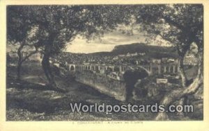 Travers les Oliviers Constantine Algeria Africa Postcard