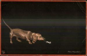 Dachshund Dog Chasing Mouse Mein Mauschen c1910 Postcard STAR CANCEL