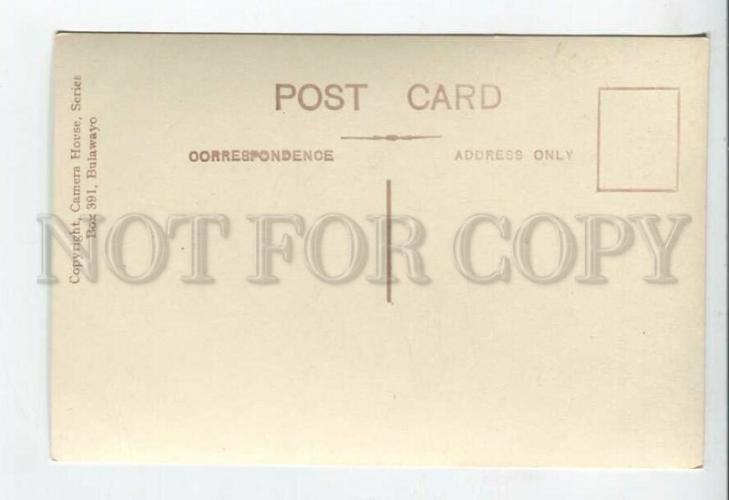 438925 British SOUTH Africa Zimbabwe natives preparing their mid-day meal photo